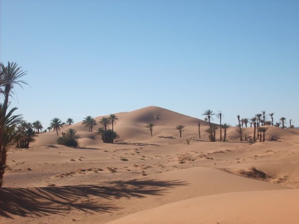 Dunes ingrid1